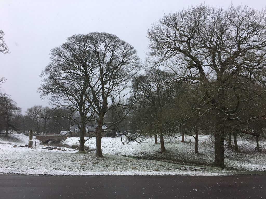 Lyme Park with a dusting of snow